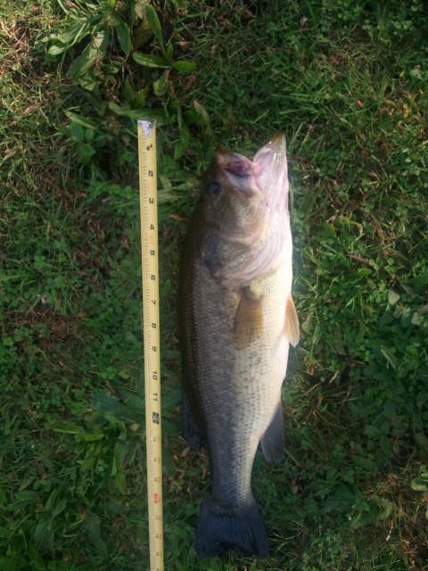 Winchester fishing photo 5