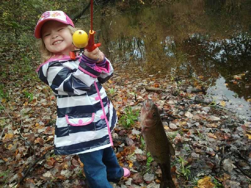 more fallfish near Dracut