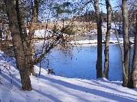 Cold Day, New Year