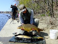 Mid Week Session Fishing Report