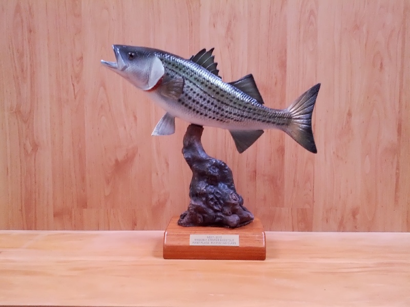 Misery Island Reservation fishing photo 3