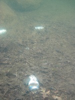 Boot Pond