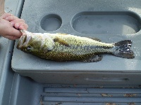 North Pond/lake Maspenock