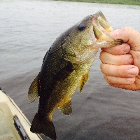 Slow Bite - Big Payoff
