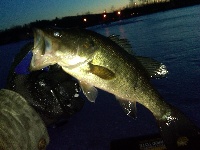 First time ice fishing in Mass Fishing Report