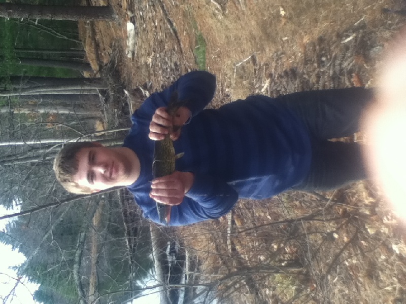 Pickerel near Tyngsborough
