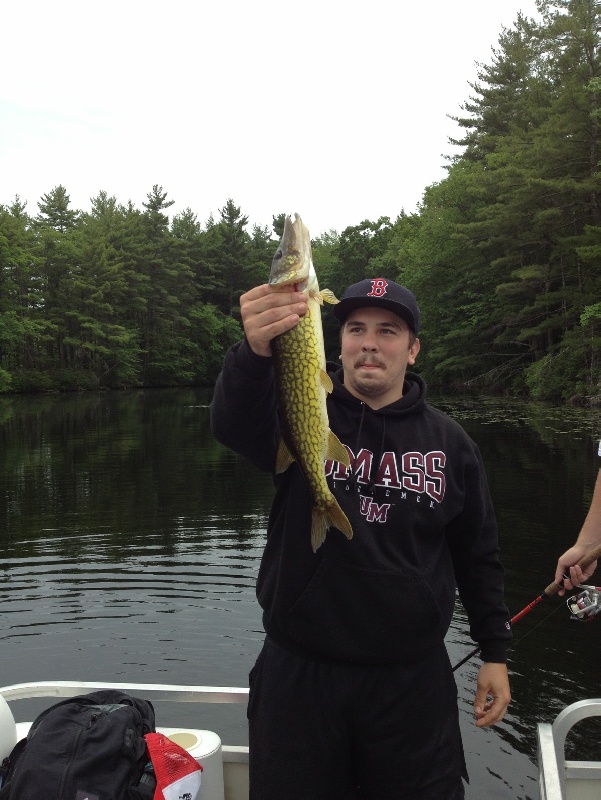 Big Pickerel.  near Lunenburg