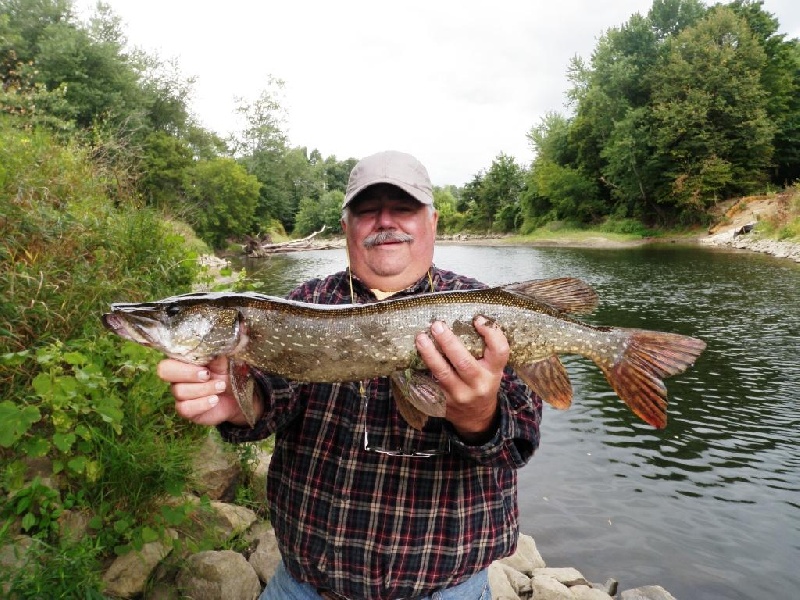 The Bully of this pocket water ! near New Marlborough