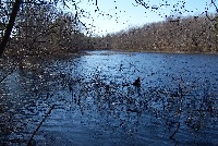 40 Degrees and Sunny Fishing Report