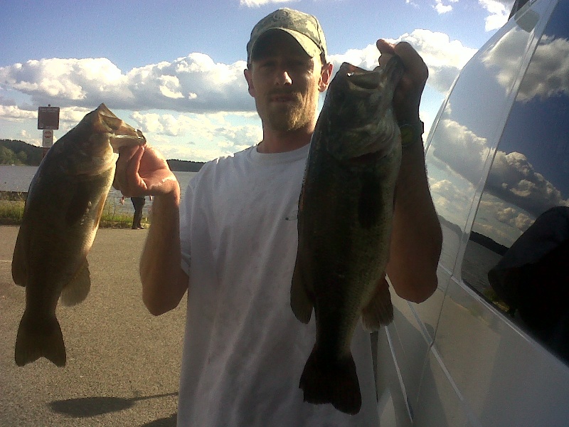 Quabog Pigs near East Brookfield