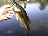 May 6 2009 Fishing Report