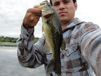 Quick trip to Buckmaster