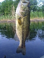 Spy Pond 5-31-11