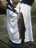 Ipswich River Fishing Report