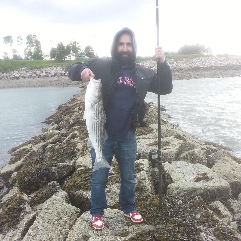 31 inch striped bass near Quincy