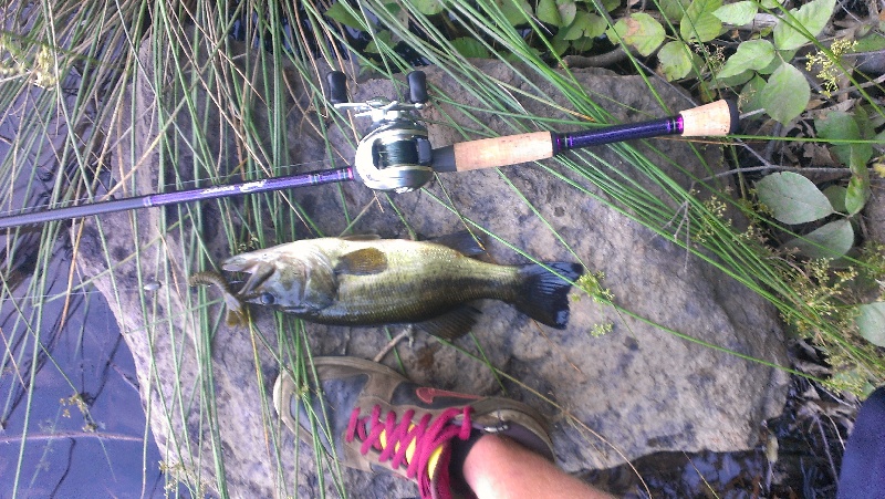 Sudbury fishing photo 0