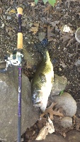 nice punching trip