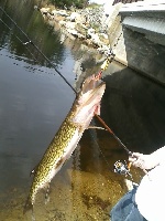 Lake Rohunta Fishing Report