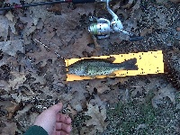 4/8/10 - Sudbury Reservoir - Southboro, MA Fishing Report