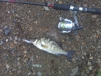 9/30/10 - Sudbury Reservoir - Southboro, MA