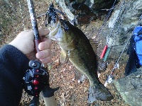 12/2/12 - December at the Honey Hole Fishing Report