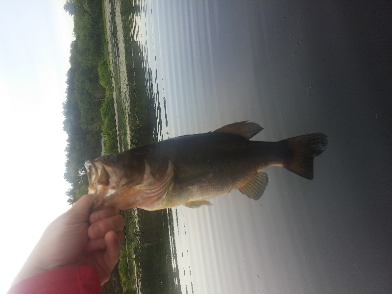 my spot near Seekonk