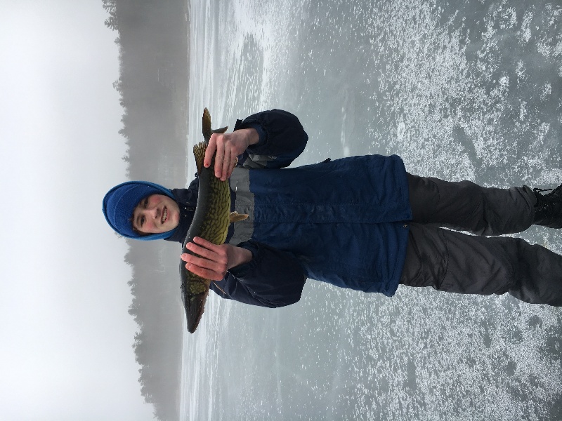 Gator Pickerel near Tyringham