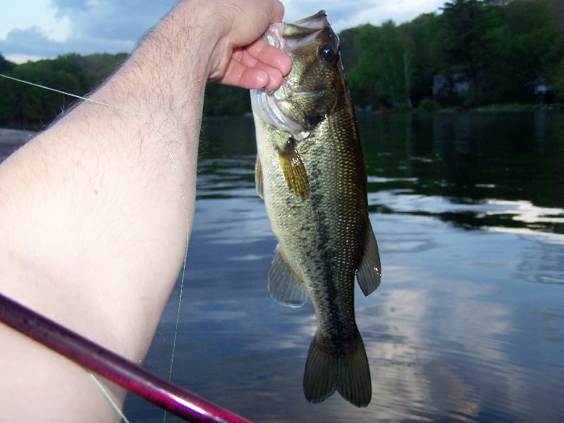 Good one near Hopkinton