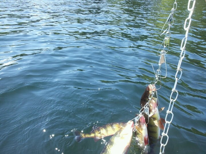 30 Minutes in near Barre