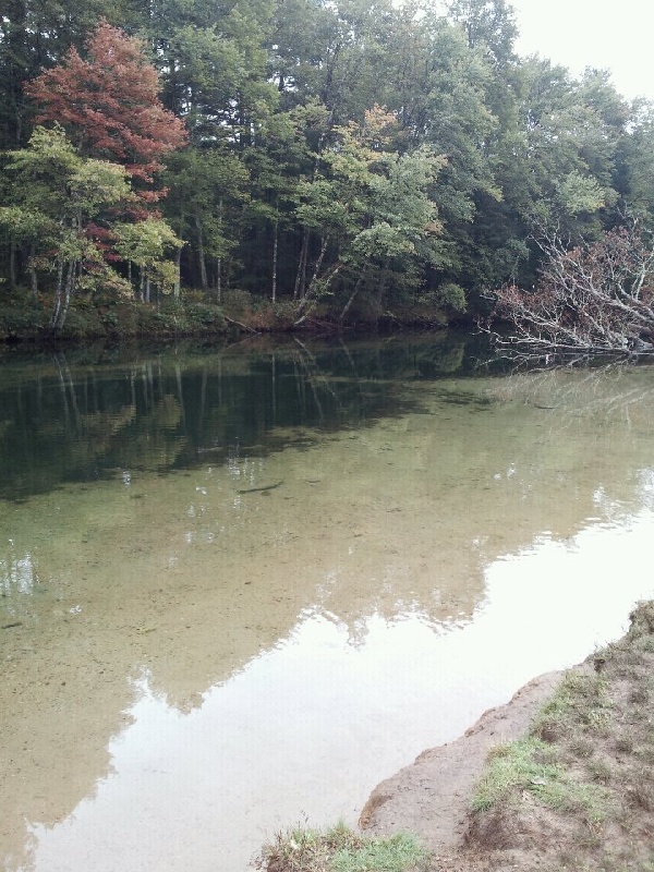 Ware fishing photo 2