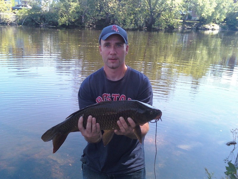 8lb 4oz carp near Dedham