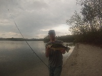 Little South 