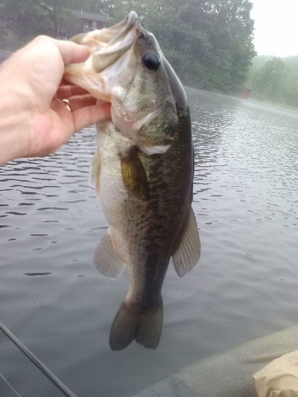 Mendon fishing photo 1