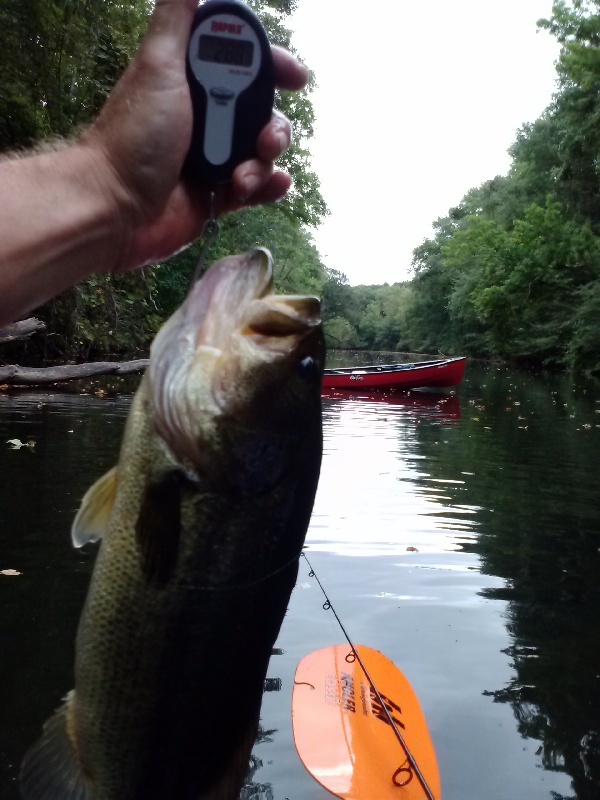 Uxbridge fishing photo 4