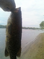 Larry Fishing Report