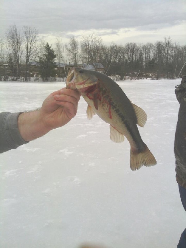 fishing near Conway