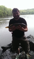 Concord River Carp in the Rain Fishing Report