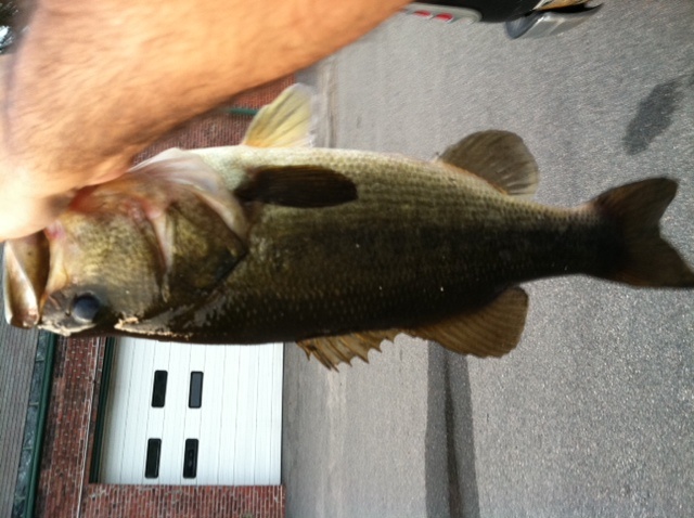 3.5 to 4 on jig near Lynn