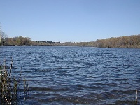 Coachlace Pond