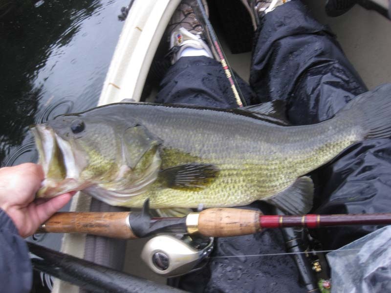 Lincoln fishing photo 2