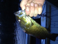 Charles River Smallmouths Fishing Report