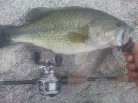 wachusett res
