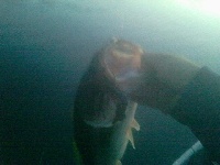 after work Fishing Report