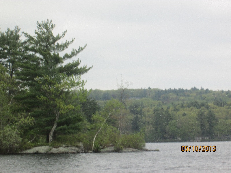 Harvard fishing photo 2